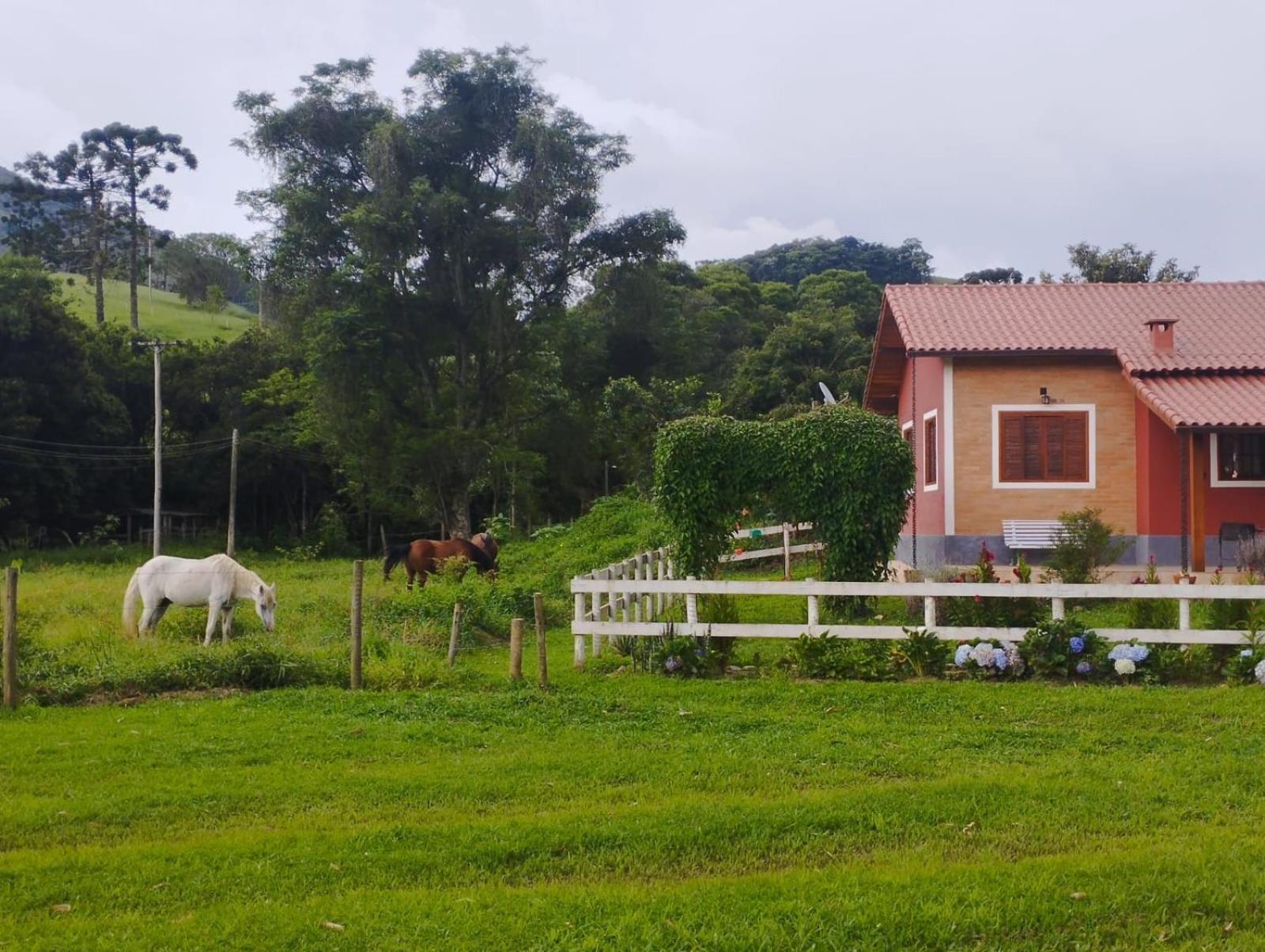Encanto Da Pedra Visconde De Maua Phòng bức ảnh